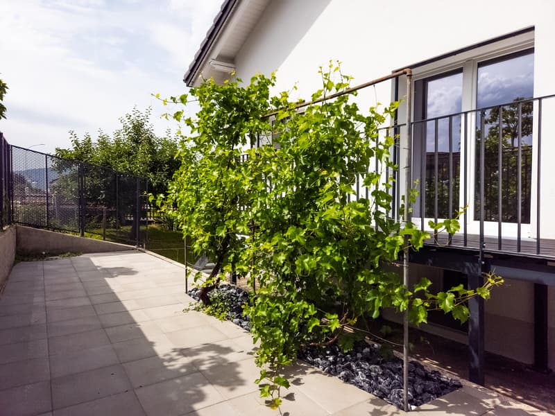 Grande villa entièrement rénovée de 7.5 pces (12)