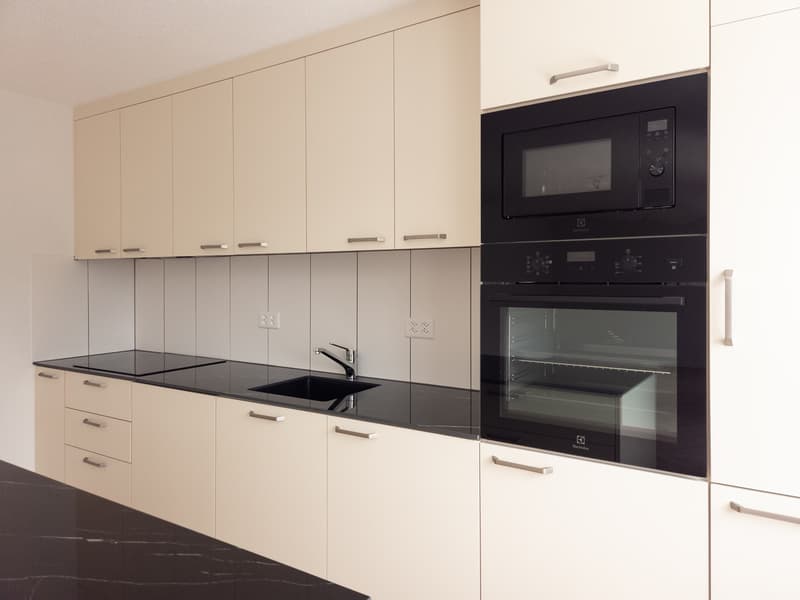 Grande villa entièrement rénovée de 7.5 pces (4)