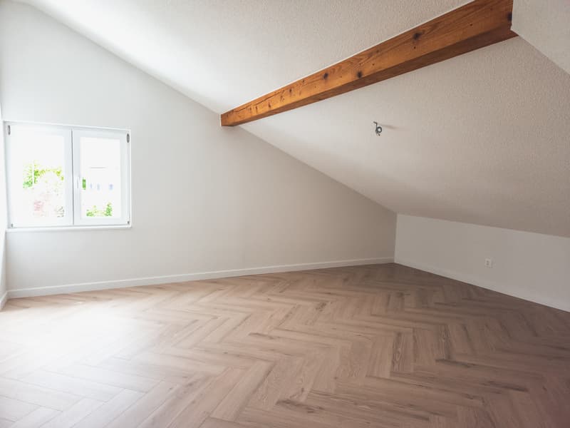 Grande villa entièrement rénovée de 7.5 pces (7)