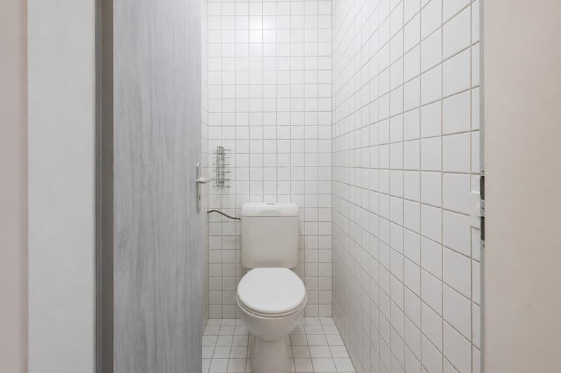 Agréable 3 pièces de plain-pied - fraîchement rénové - Lot n6 (7)