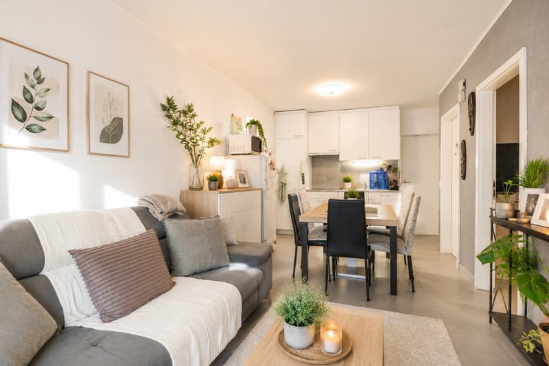 Appartement 3 pièces loué - Rendement immédiat - Lot n5 (1)