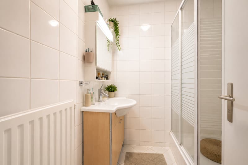 Appartement 3 pièces loué - Rendement immédiat - Lot n5 (5)