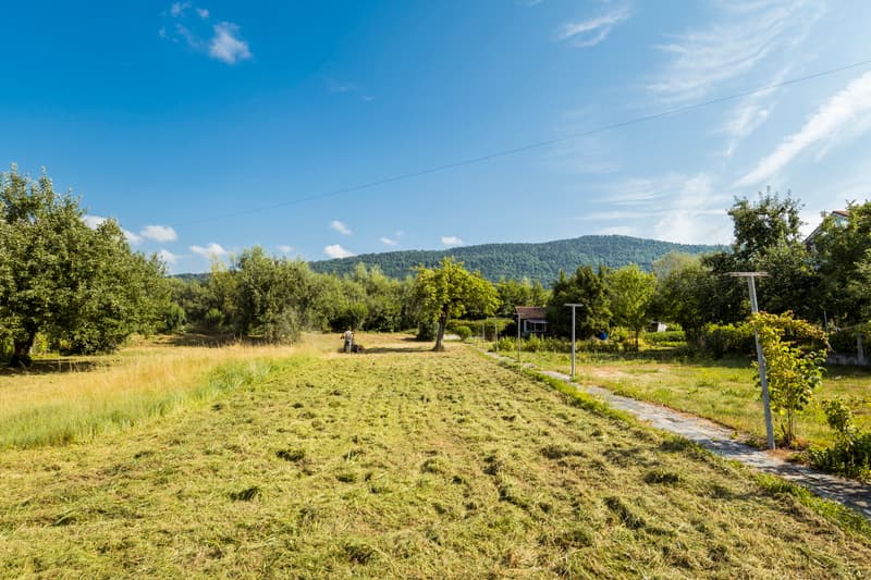 Maison et terrain avec grand potentiel de développement (2)