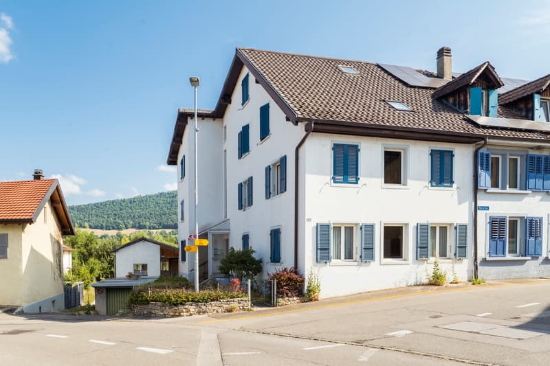 Maison et terrain avec grand potentiel de développement (1)