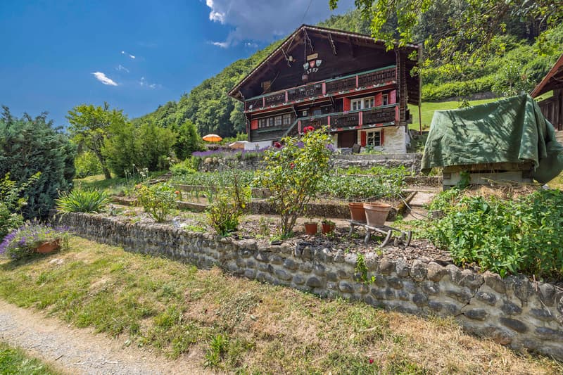 Magnifique chalet Ormonan rénové situé dans un cadre rural (13)