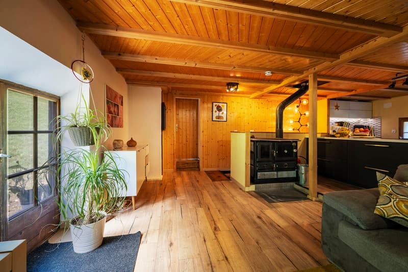 Magnifique chalet Ormonan rénové situé dans un cadre rural (3)