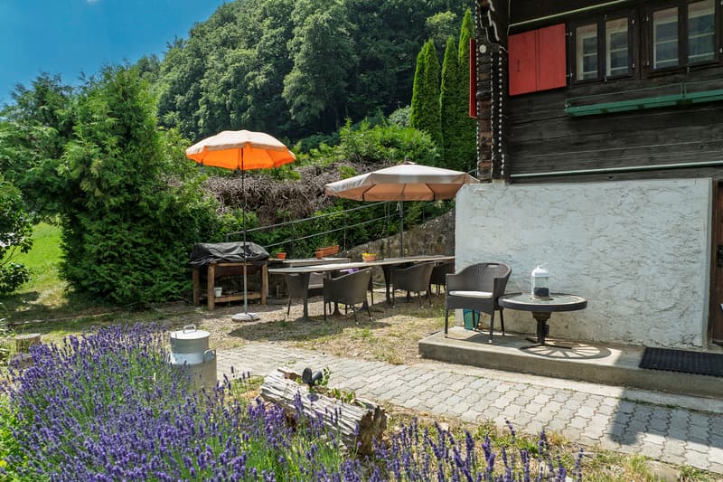 Magnifique chalet Ormonan rénové situé dans un cadre rural (12)