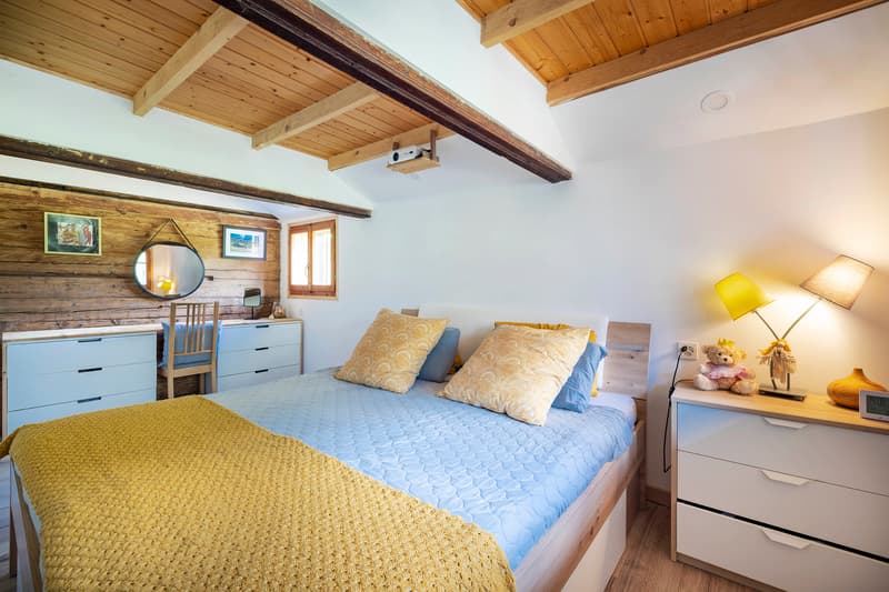 Magnifique chalet Ormonan rénové situé dans un cadre rural (5)
