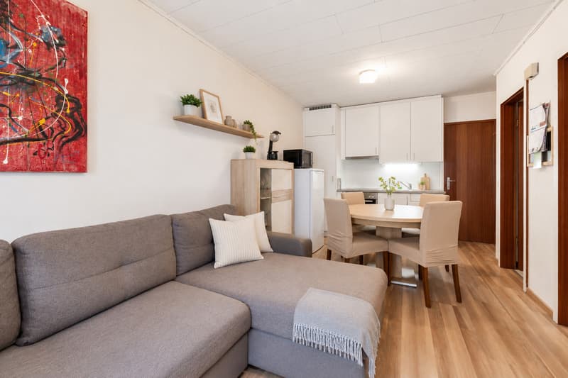 3 pièces de plain-pied avec terrasse et pl. de parc - Lot n1 (1)