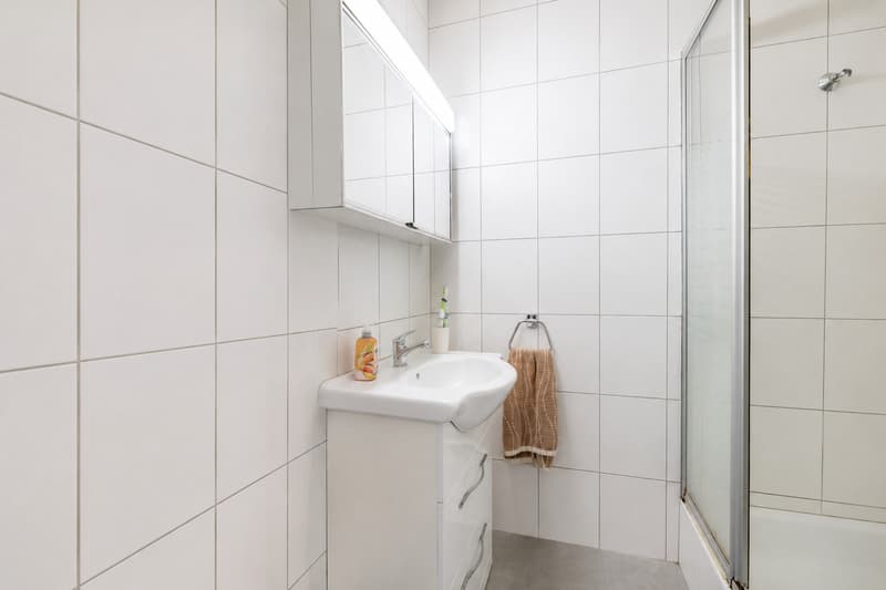 3 pièces de plain-pied déjà loué avec terrasse - Lot n2 (5)