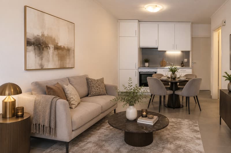 Appartement 3 pièces loué - Rendement immédiat - Lot n3 (1)