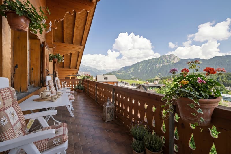 Charmant appartement style chalet avec cheminée au centre du village ! (2)