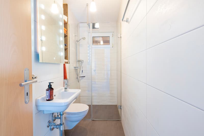 Chalet d'exception dans un quartier verdoyant et tranquille (8)