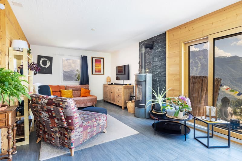 Chalet d'exception dans un quartier verdoyant et tranquille (4)