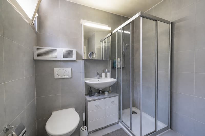 Petit immeuble de rendement entièrement loué à 20 minutes de Verbier (12)