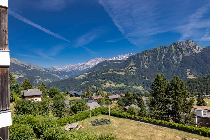 Lumineux appartement de 2.5 pièces proche des pistes de ski (9)