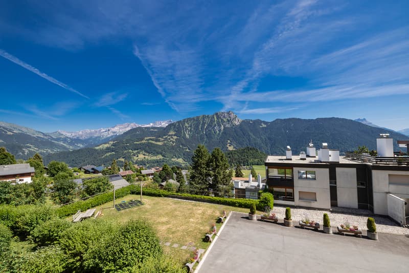 Lumineux appartement de 2.5 pièces proche des pistes de ski (10)