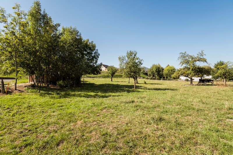 Corps de ferme avec habitation, écurie, stabulation (12)