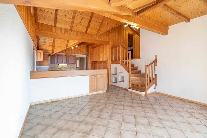 Vivre et investir à Erde - 2 appartements (3)