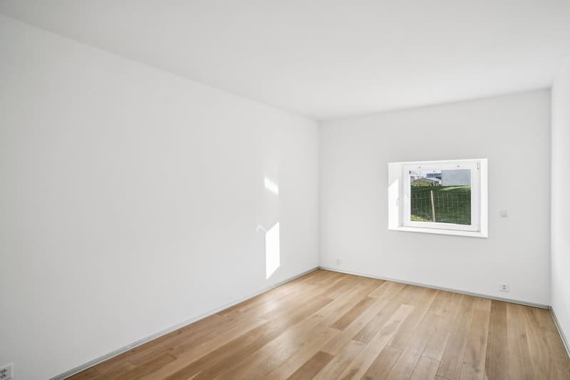 Un 4.5 pièces au charme singulier avec jardin (3)