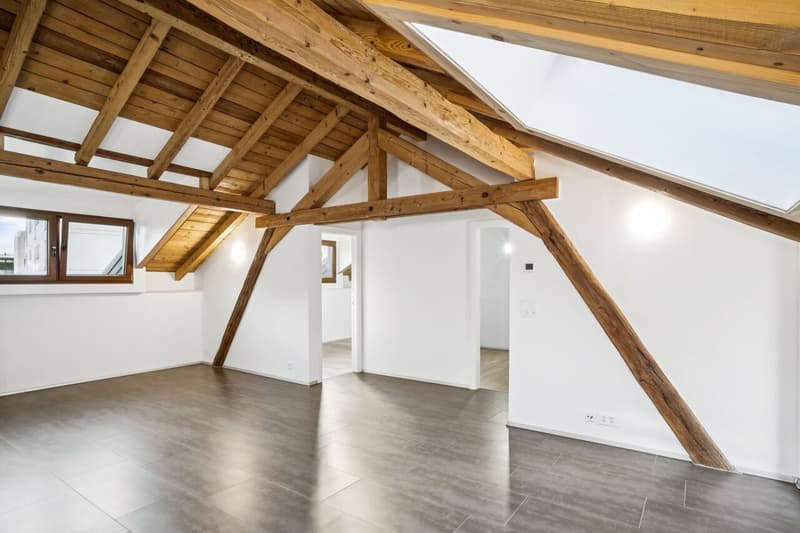 Un attique de charme aux beaux volumes (2)