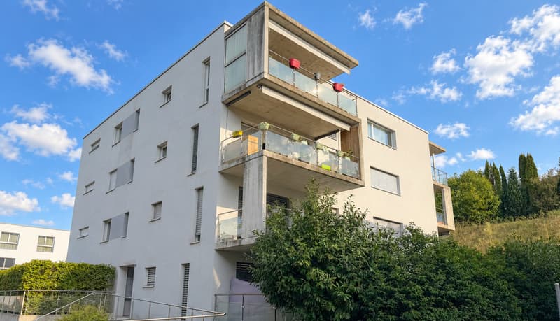 APPARTEMENT FAMILIAL AU DERNIER ETAGE AVEC VUE SUR LES PREALPES (2)