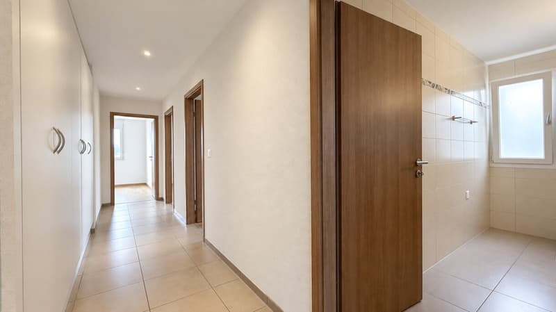 APPARTEMENT FAMILIAL AU DERNIER ETAGE AVEC VUE SUR LES PREALPES (9)