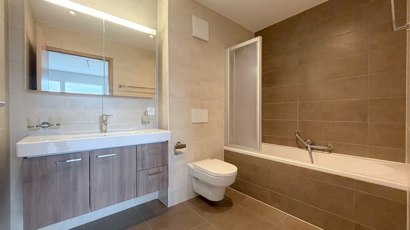 APPARTEMENT FAMILIAL AU DERNIER ETAGE AVEC VUE SUR LES PREALPES (11)