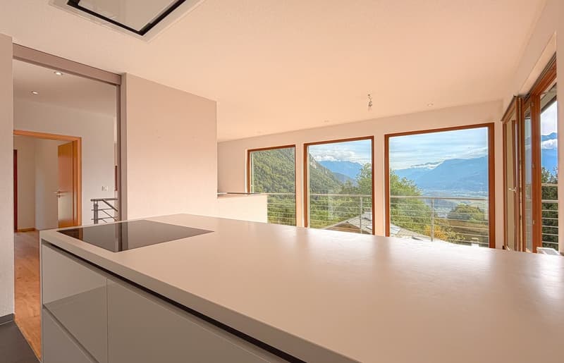 Villa individuelle avec vue panoramique sur les Dents du Midi (8)