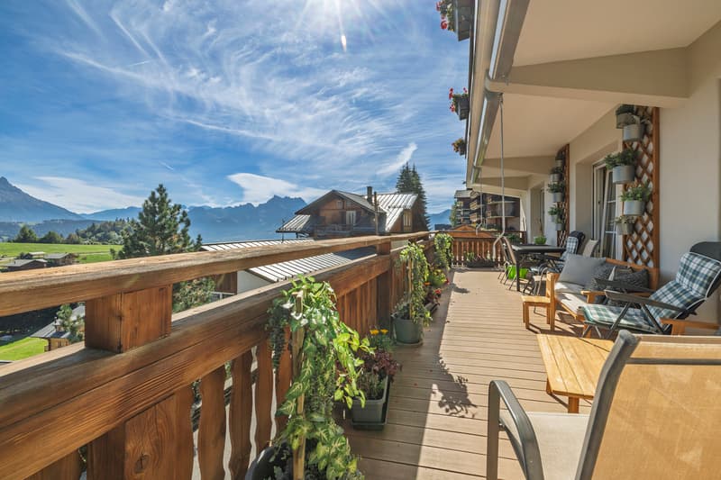 Magnifique appartement de 4.5 pièces de standing au coeur du village (2)
