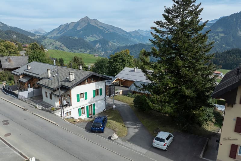 OPPORTUNITE : Immeuble de 3 appartements avec possibilité de rendement (12)