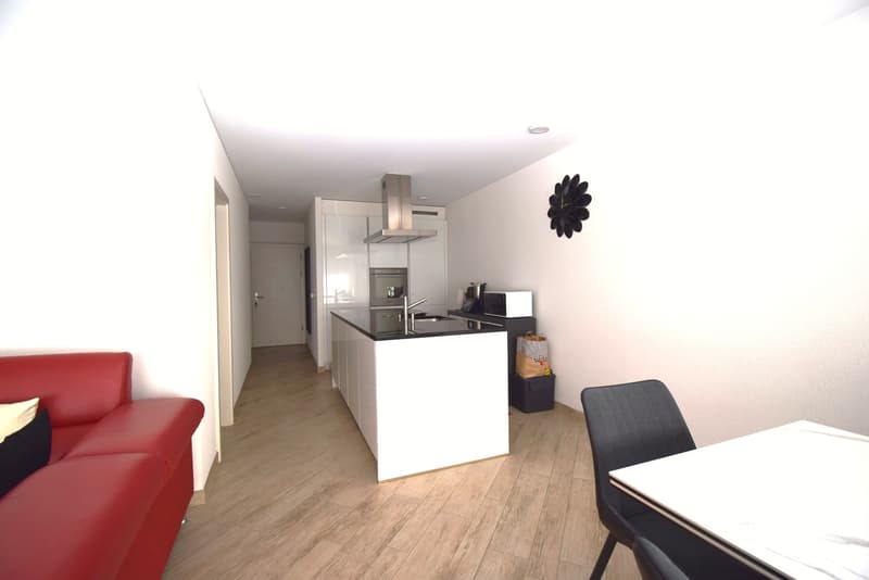 Un bel espace de vie et une terrasse qui fait la différence ! (4)