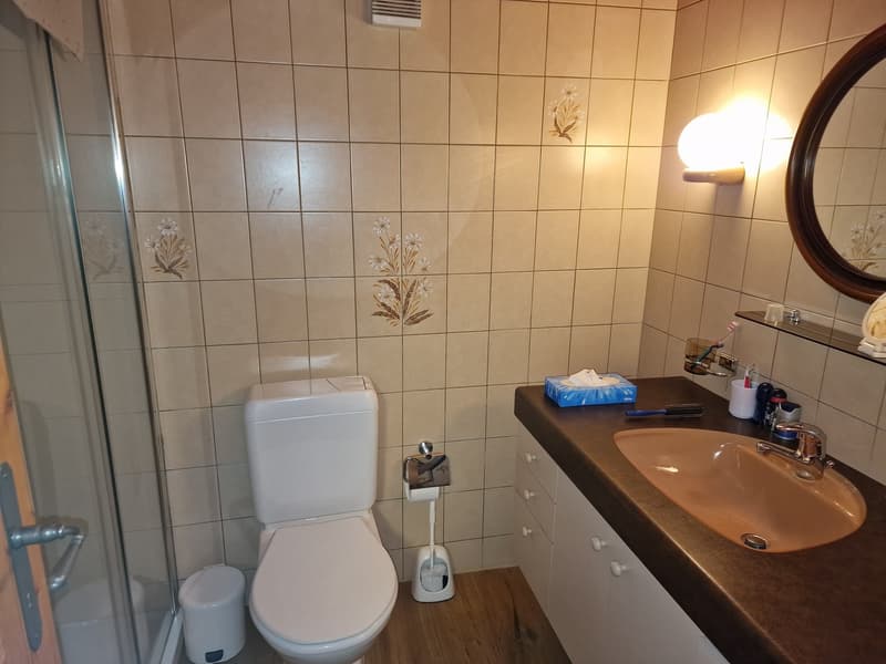 Salle de douche-wc-lavabo au rez inférieur
