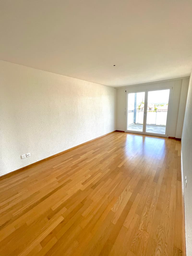 Zimmer_gross.jpeg