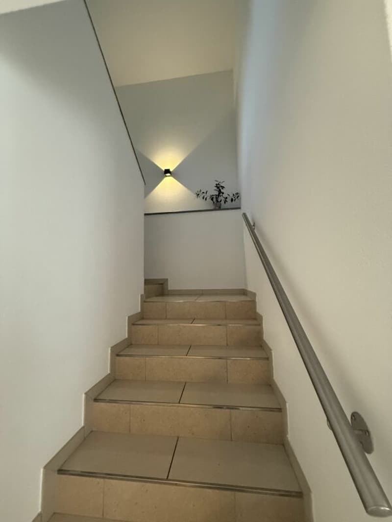 Spaziosa casa bifamiliare con giardino soleggiato - Gorduno (5)