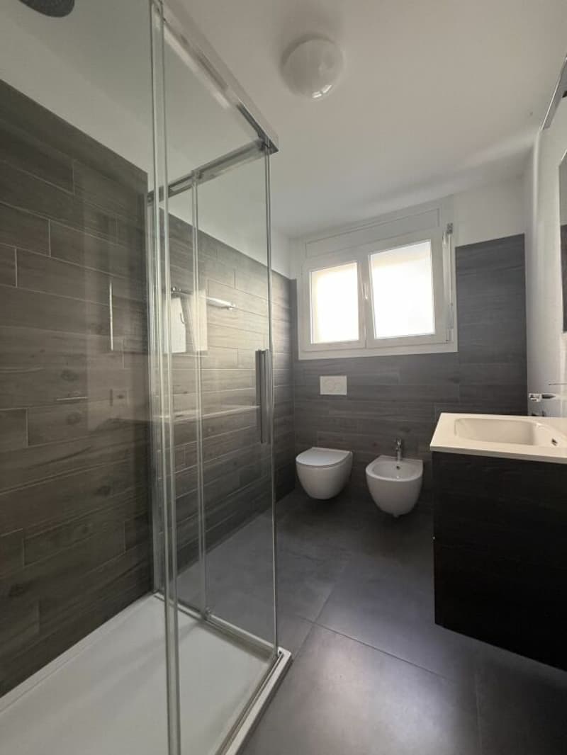 Appartamento di 4.5 locali di standing medio/alto in palazzina di sole 3 unità abitative (11)