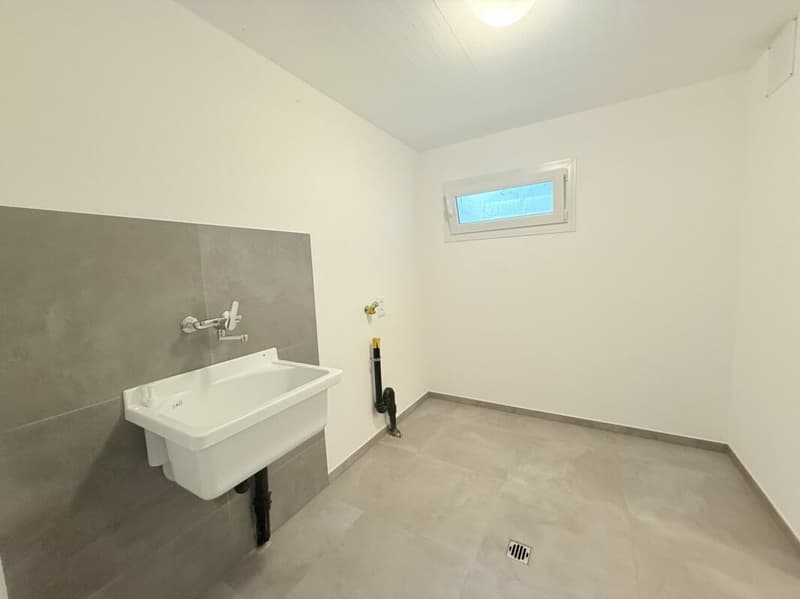 Appartamento di 4.5 locali di standing medio/alto in palazzina di sole 3 unità abitative (12)