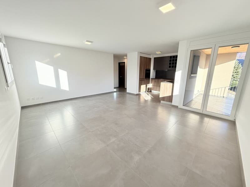 Appartamento di 4.5 locali di standing medio/alto in palazzina di sole 3 unità abitative (6)
