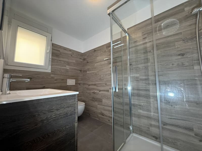Appartamento di 4.5 locali di standing medio/alto in palazzina di sole 3 unità abitative (8)
