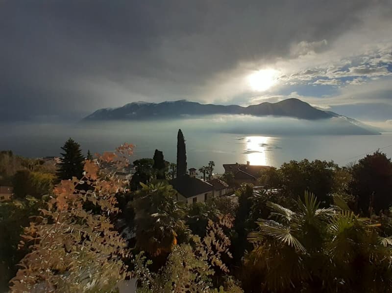 Exklusive Liegenschaft mit 8 Einheiten und atemberaubendem Blick auf den Lago Maggiore - Brissago (3)