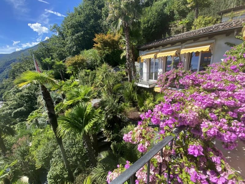 Mediterrane Villa mit Infinity-Pool und Panoramaseeblick auf den Lago Maggiore - Brissago (6)