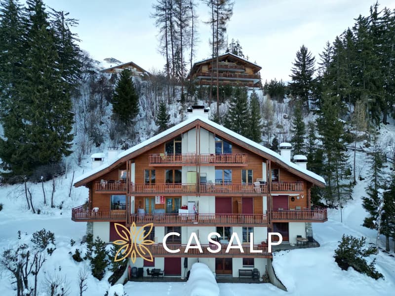 Superbe 2.5 pièces rénové au pied des pistes (12)