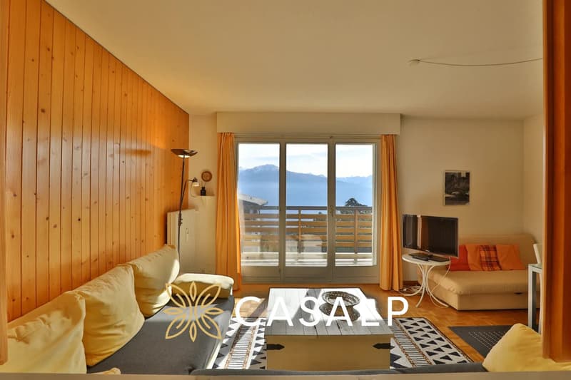 Appartement lumineux de 2.5 pièces avec vue panoramique (4)