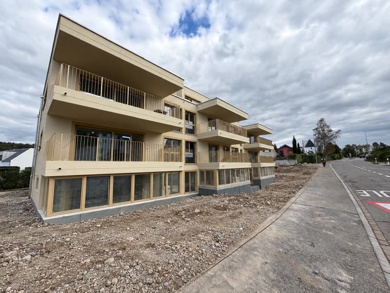 Erstbezug im Eigentumsstandard – 4.5 Zimmer mit 14 m² Balkon (3)