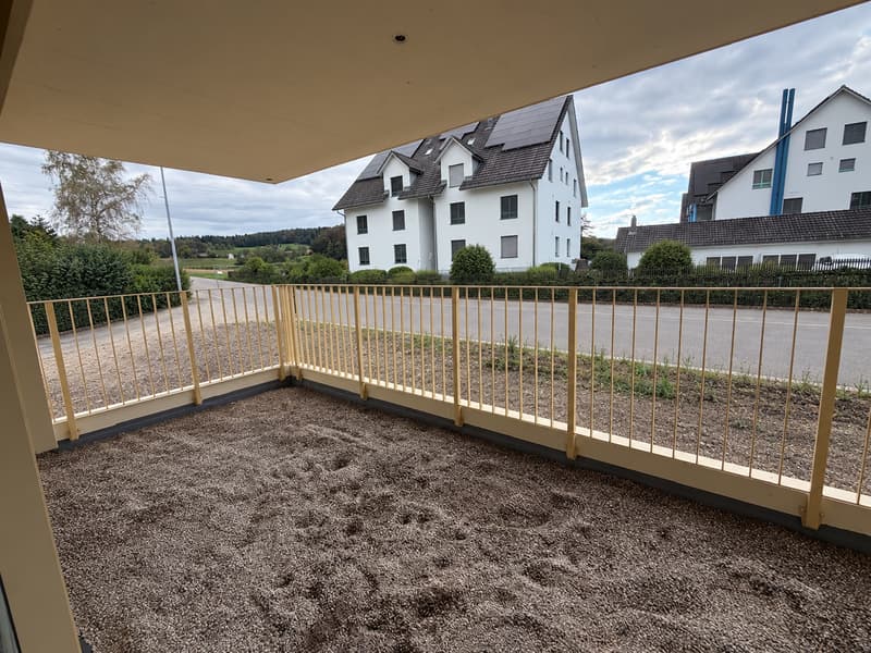 Erstbezug im Eigentumsstandard – 4.5 Zimmer mit 14 m² Balkon (15)