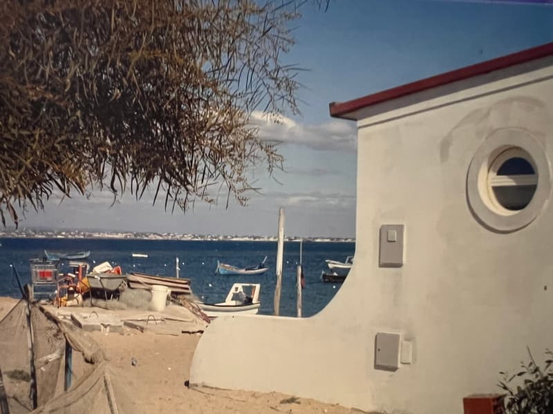 Algarve : Maison sur la magnifique ile de Culatra au Portugal (1)