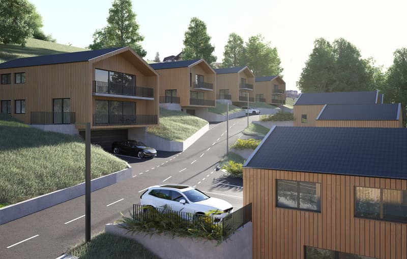 Magnifique Chalet-Villa mitoyen 4,5 pces à Vérossaz (5)