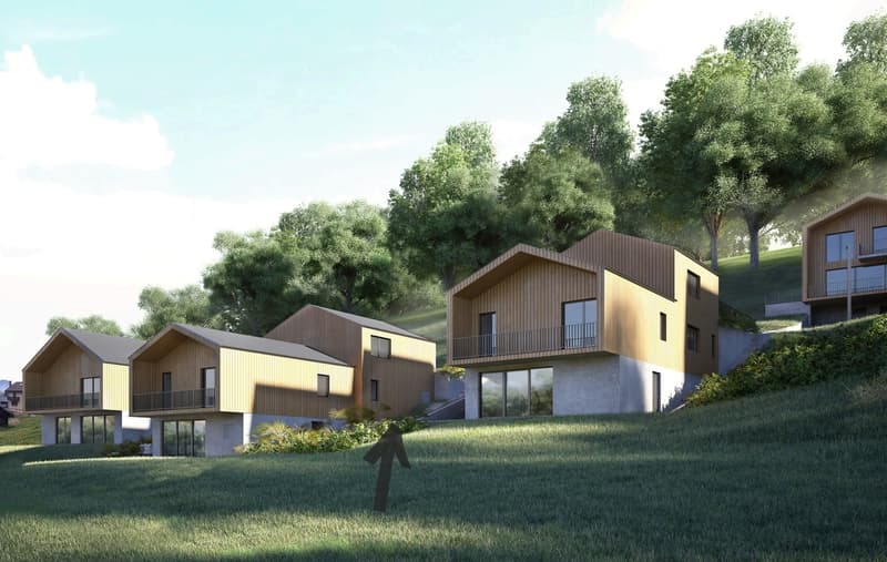 Magnifique Chalet-Villa mitoyen 4,5 pces à Vérossaz (2)