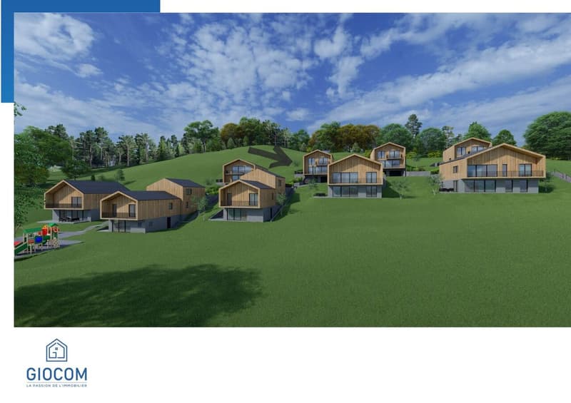 Magnifique Chalet-Villa individuel à Vérossaz (5)