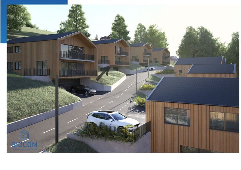 Magnifique Chalet-Villa individuel à Vérossaz (2)